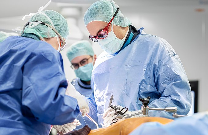 Dies sind zwei Gefäßchirurgen, die eine Operation an der Aorta eines Patienten durchführen.
