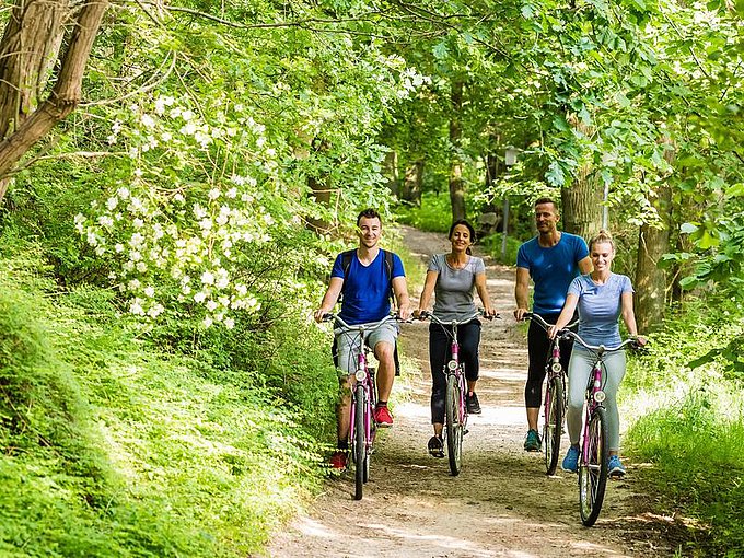 Dies zeigt vier junge Menschen auf einer Radtour durch den Wald in Bad Bevensen.